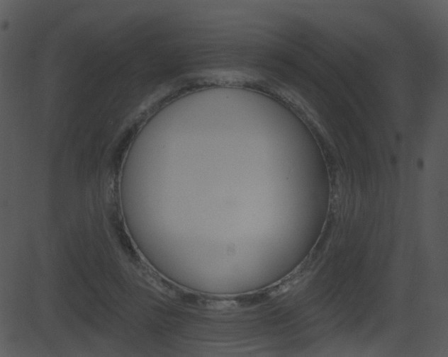 X0000081580355200701151006