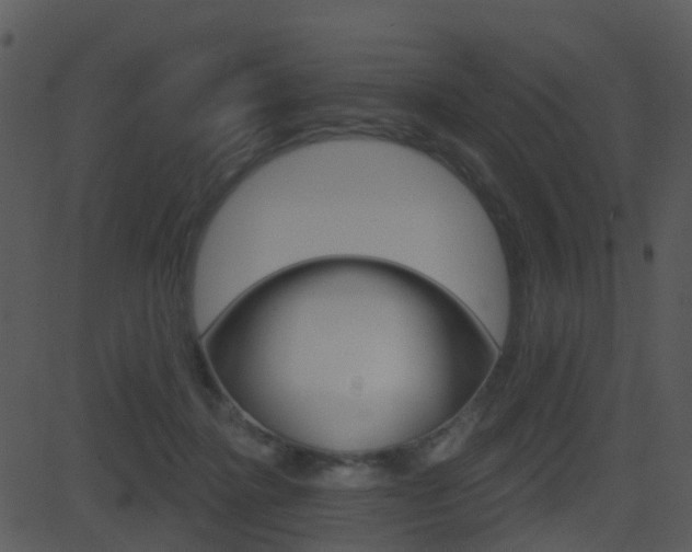 X0000081580364200701151006