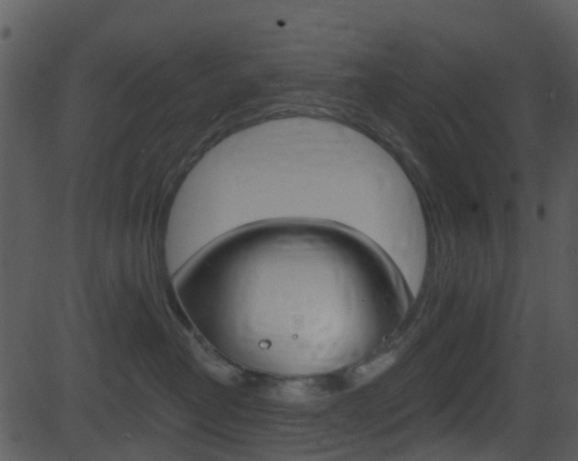 X0000081580382200701151007
