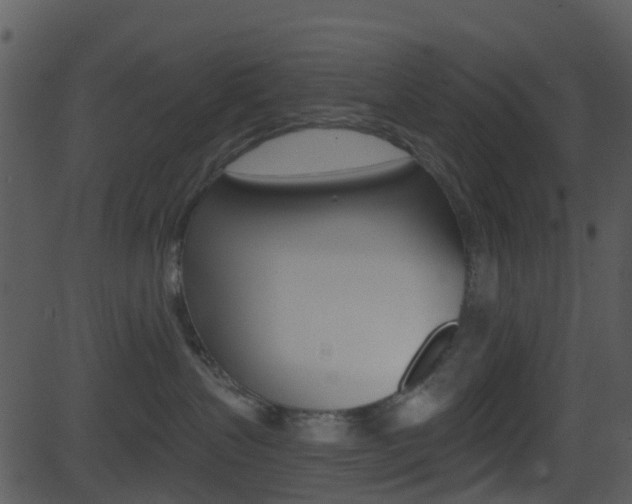 X0000081580383200701151007