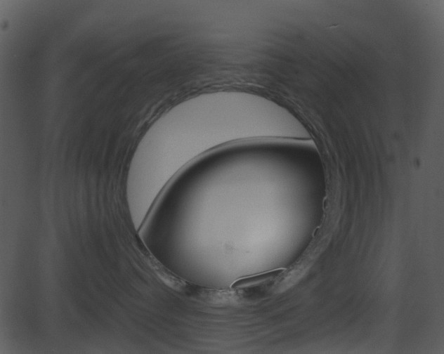 X0000081580384200701151007