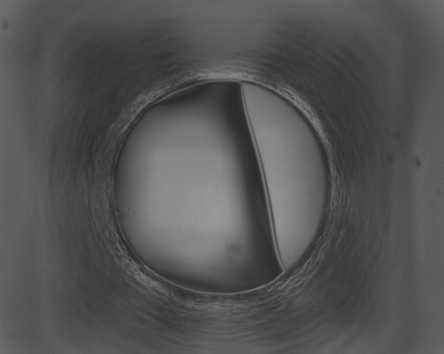 X0000081580385200701151006