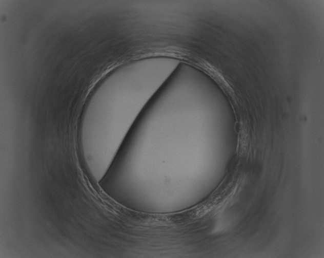 X0000081580386200701151006