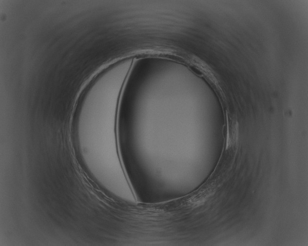 X0000081580387200701151006