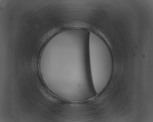 X0000081580394200701151006