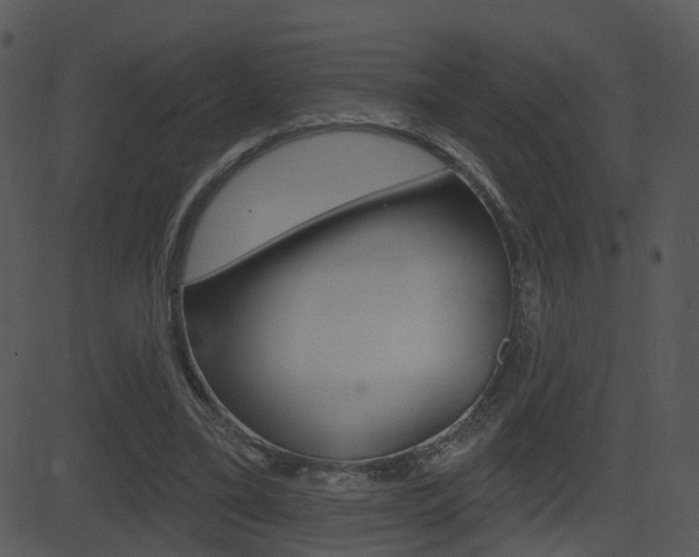 X0000081580395200701151006