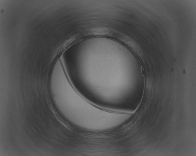 X0000081580397200701151006