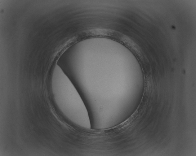 X0000081580398200701151006