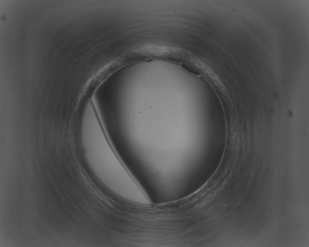 X0000081580399200701151006