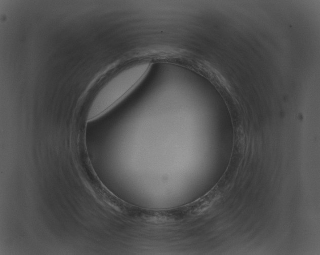 X0000081580400200701151006