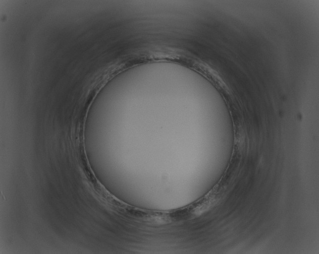 X0000081580402200701151006