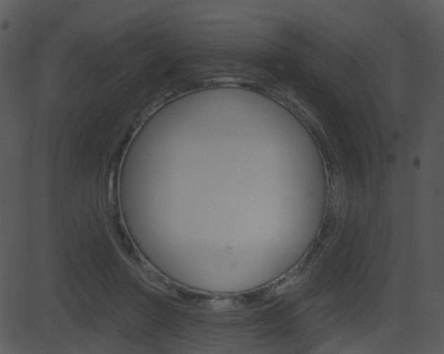 X0000081580406200701151006
