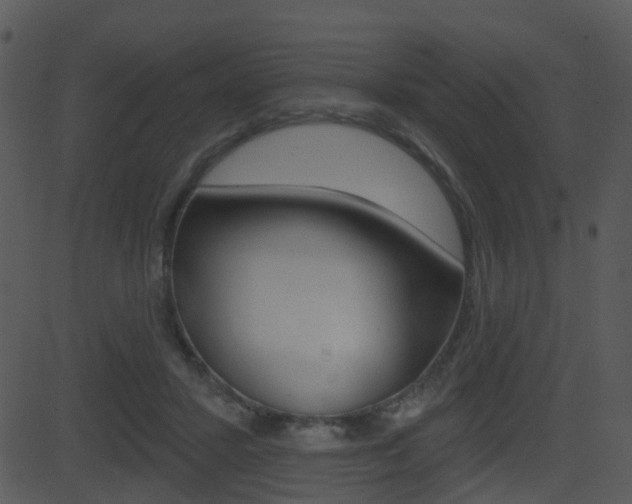 X0000081580407200701151006