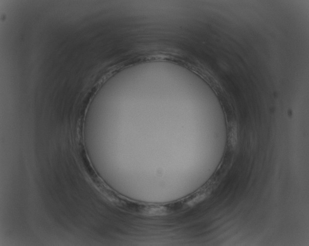 X0000081580410200701151006