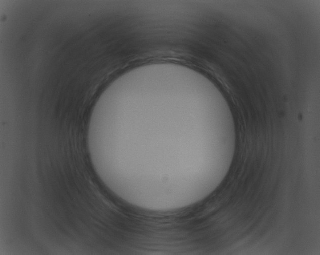 X0000081580411200701151006