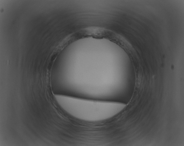 X0000081580413200701151005