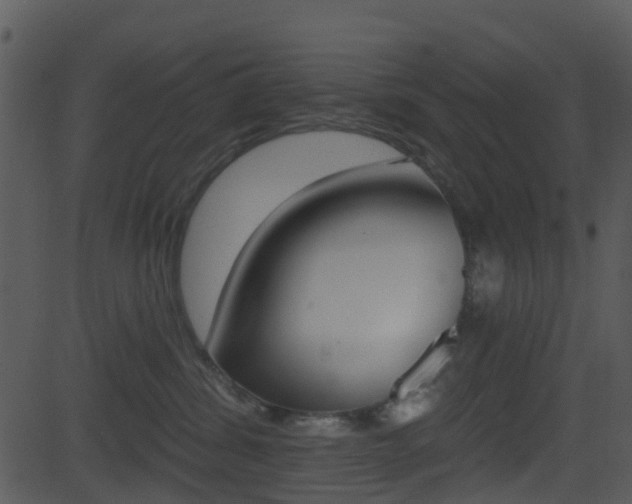 X0000081580428200701151005