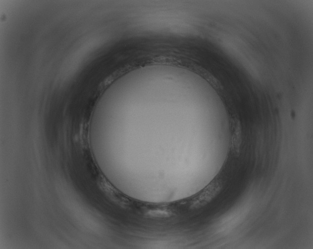 X0000081580430200701151005