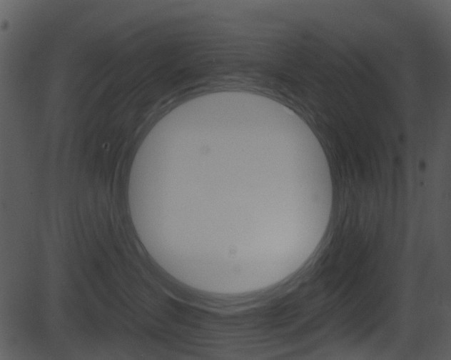 X0000081580431200701151005