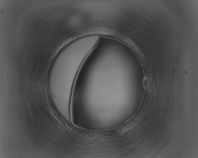 X0000081580434200701151004