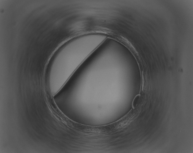X0000081580435200701151004