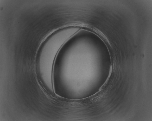 X0000081580436200701151004