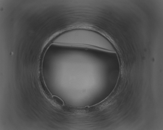 X0000081580438200701151004