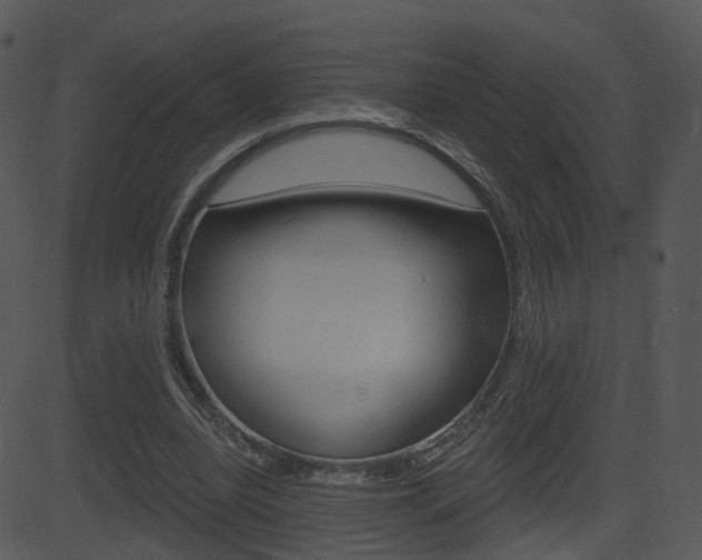 X0000081580440200701151005