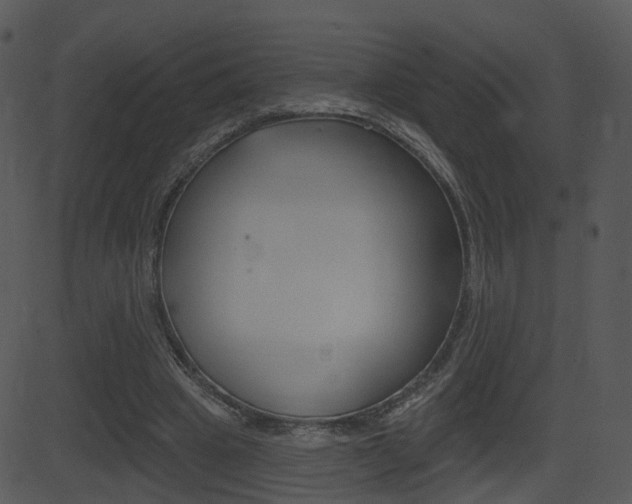 X0000081580441200701151005