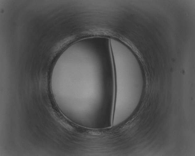 X0000081580442200701151005