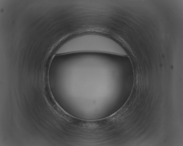 X0000081580444200701151005
