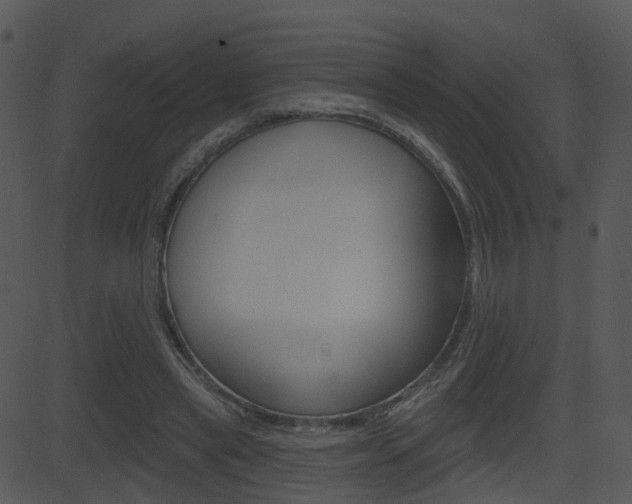 X0000081580445200701151005