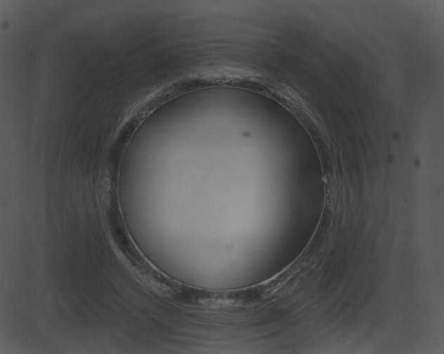 X0000081580448200701151005