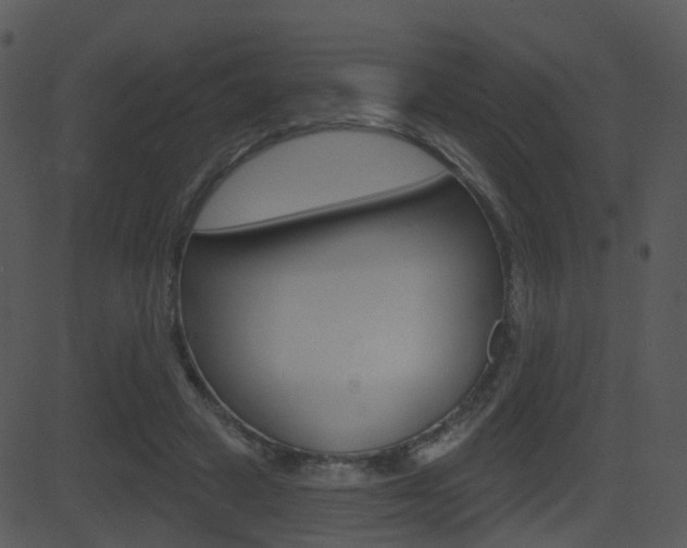 X0000081580449200701151005