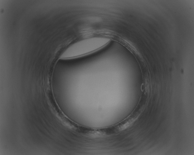 X0000081580453200701151005