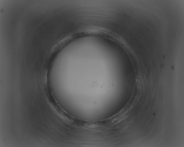 X0000081580454200701151005