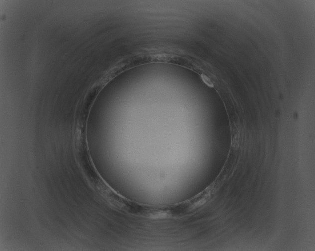 X0000081580456200701151005