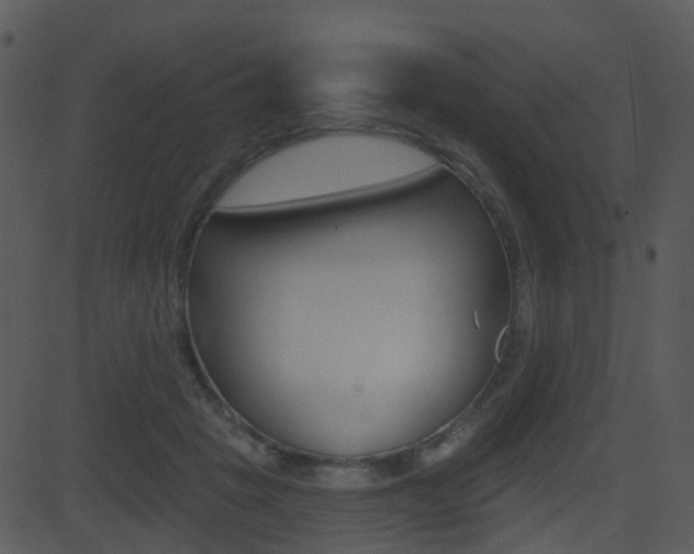 X0000081580457200701151005