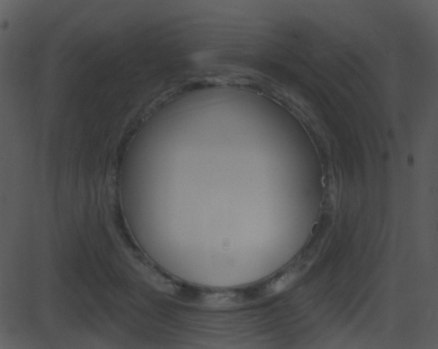 X0000081580461200701151005