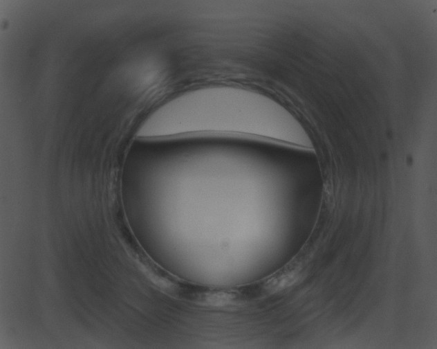 X0000081580462200701151005