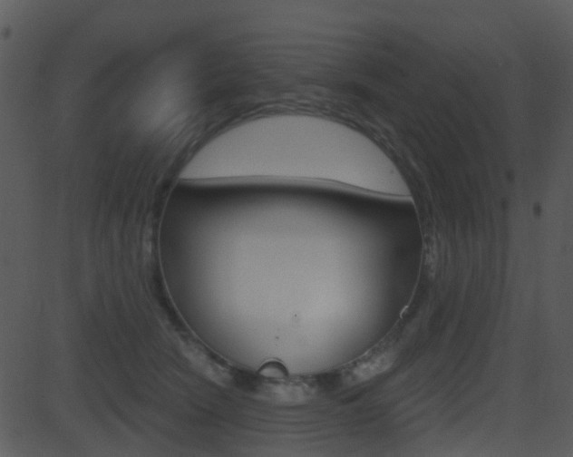 X0000081580466200701151005