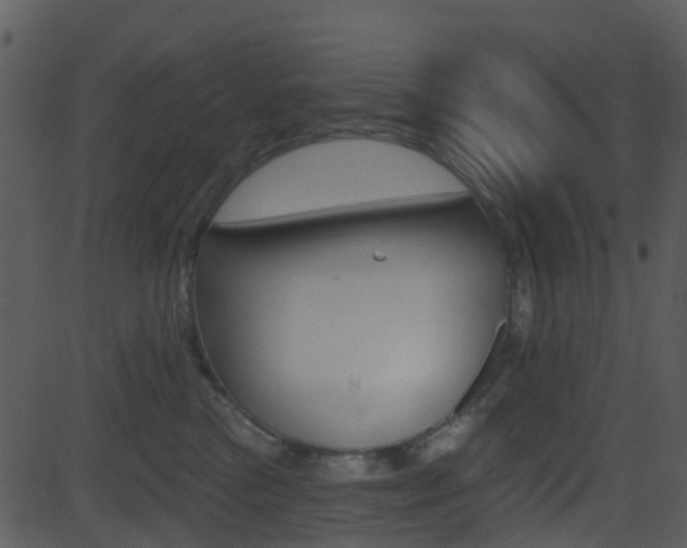 X0000081580473200701151005