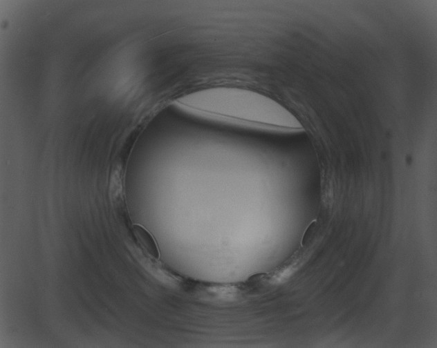 X0000081580478200701151005