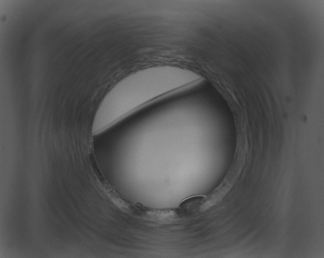 X0000081580480200701151005