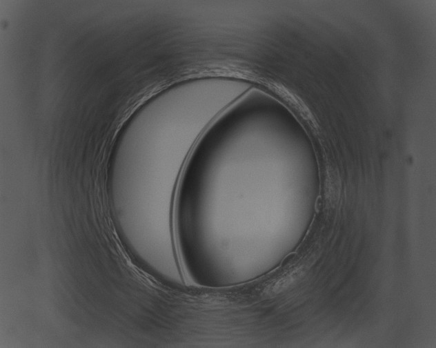 X0000081580481200701151004
