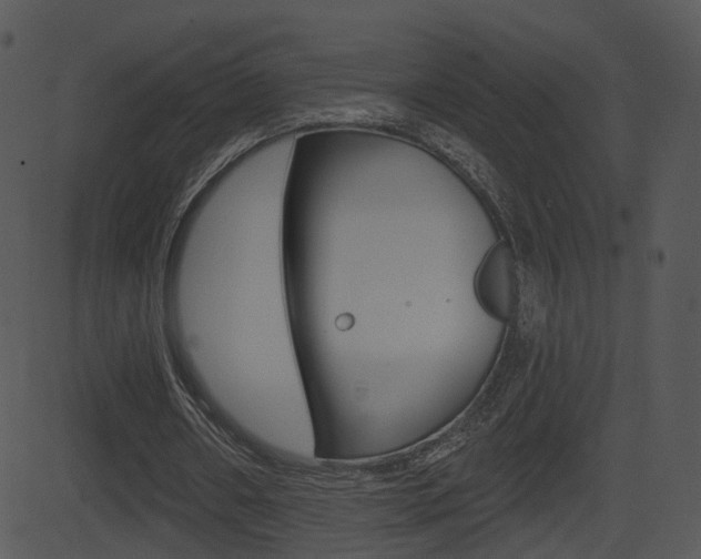 X0000081580482200701151004