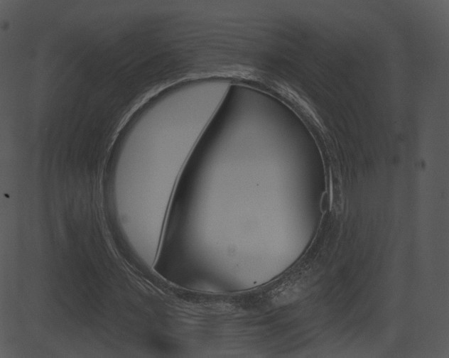 X0000081580483200701151004