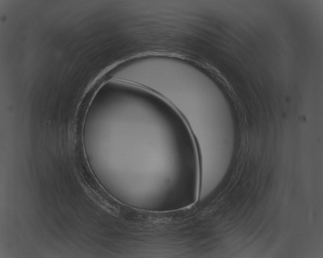 X0000081580484200701151004