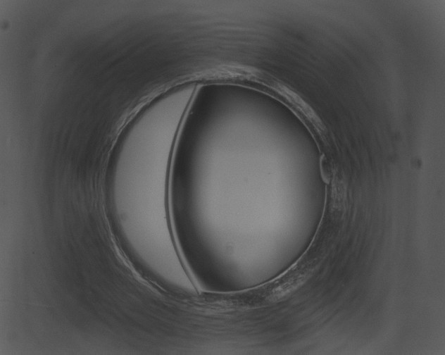 X0000081580485200701151004