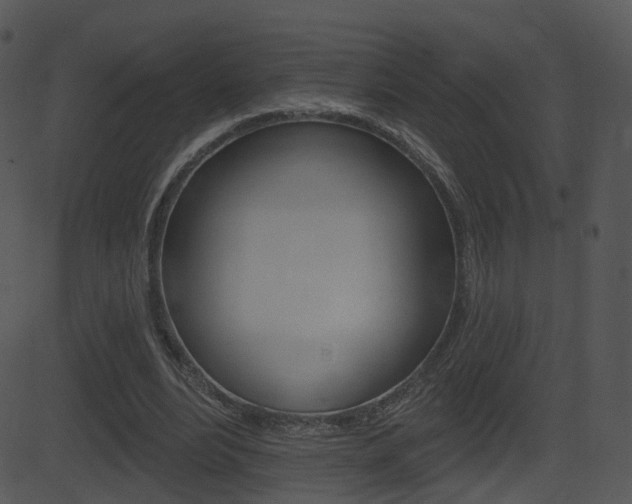X0000081580488200701151004